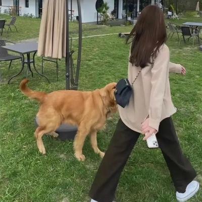 镇魂街第二季